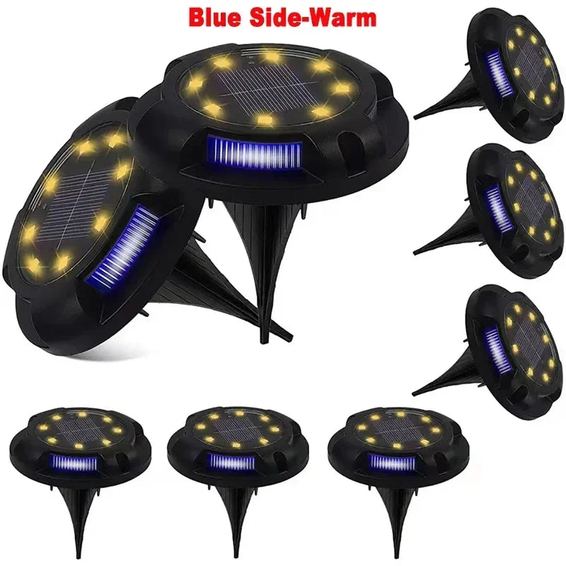 Blue Side-Warm