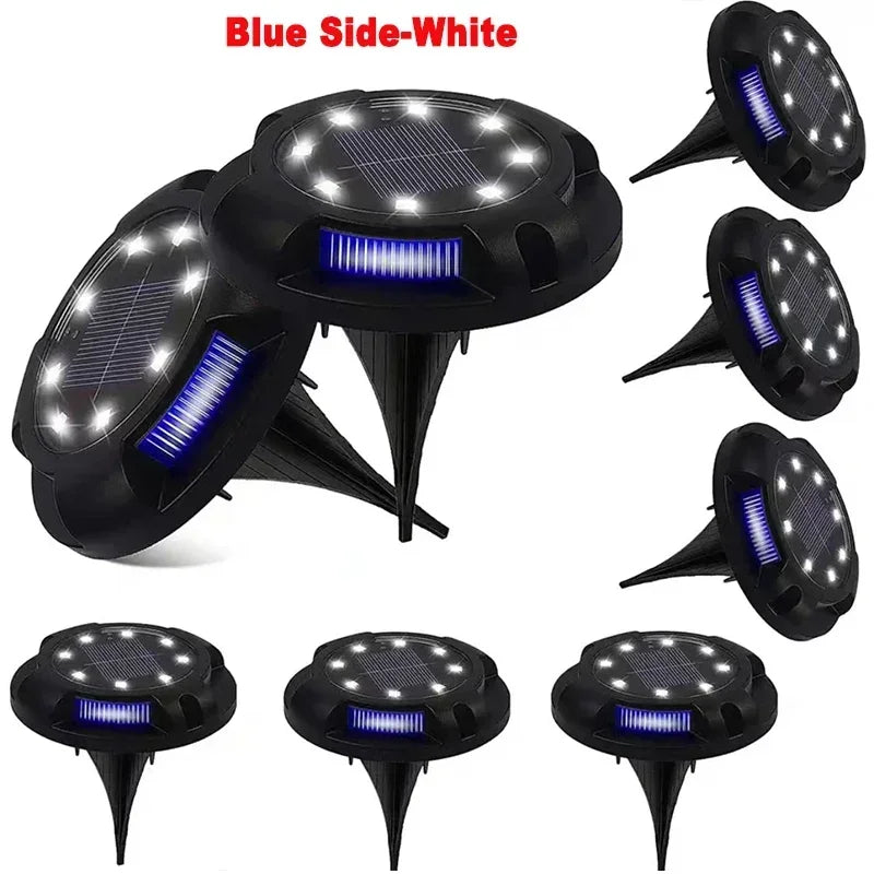 Blue Side-White