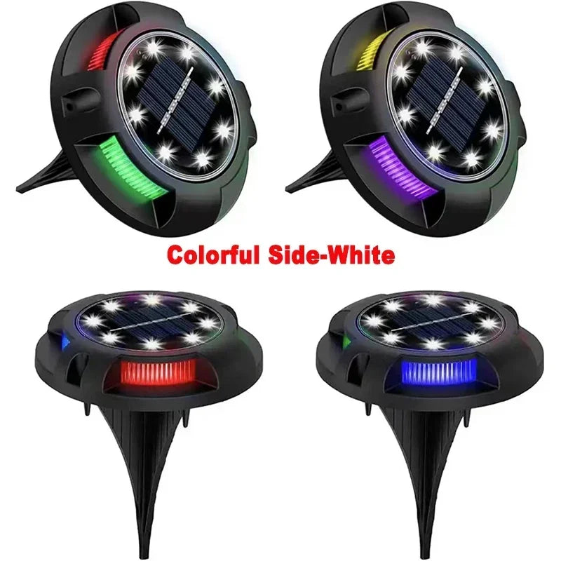 Colorful Side-White