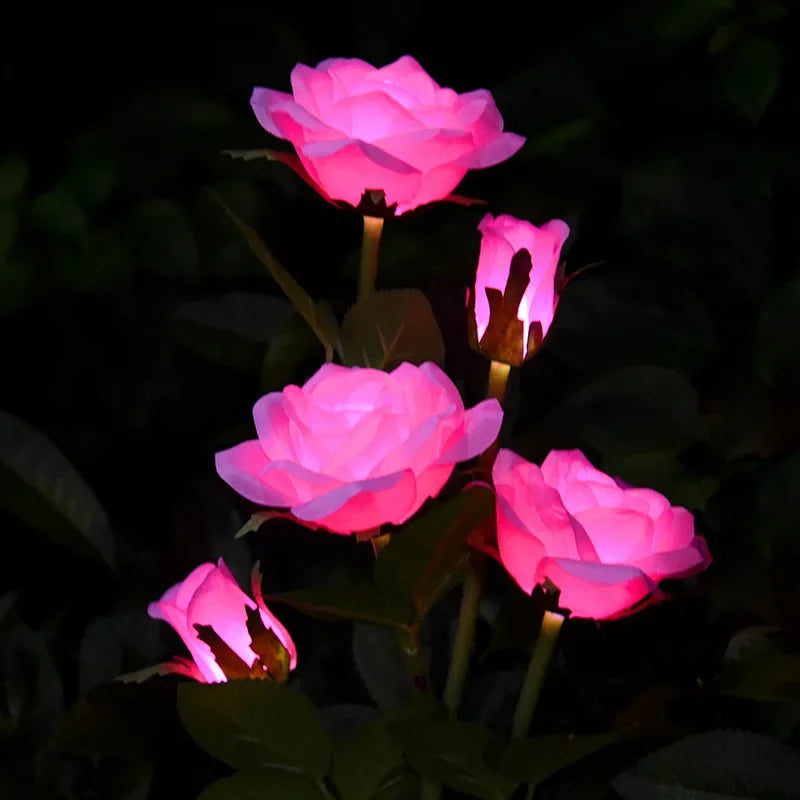 Rose Solar LED Lawn Lights - 5 Heads for Garden & Patio