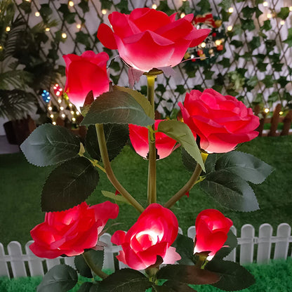 Solar Lawn Lights - Rose Lights 5 Head Waterproof Garden Pathway Decor