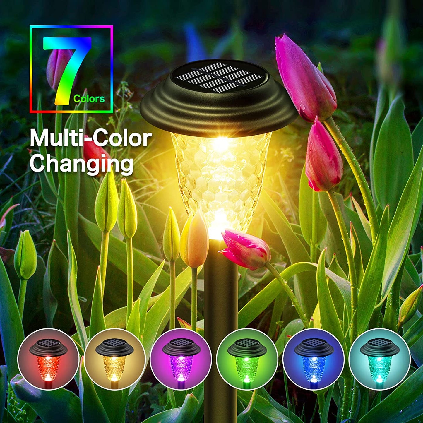 Solar Pathway Lights - RGB/Warm White, IP67 Waterproof